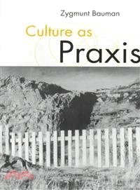 Culture As Praxis