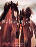 Wild Horses of the Dunes