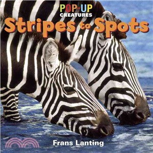 Stripes to Spots