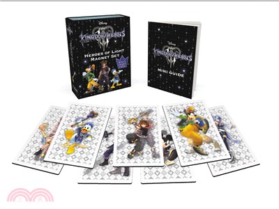 Kingdom Hearts Heroes of Light Magnet Set: With 2 Unique Poses!