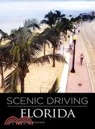 Scenic Driving Florida