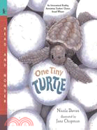 One Tiny Turtle (平裝本)(美國版)