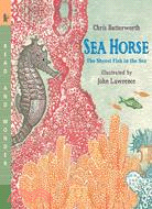 Sea Horse ─ The Shyest Fish in the Sea