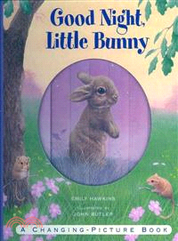 Good Night, Little Bunny ─ A Changing-Picture Book