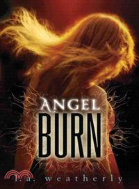 Angel Burn