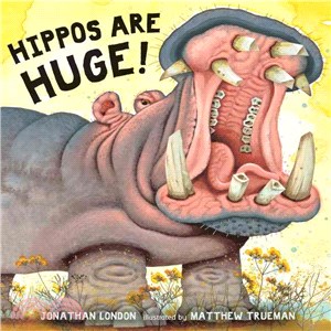 Hippos are huge! /