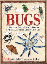 Bugs ─ A Stunning Pop-Up Look at Insects, Spiders, and Other Creepy-Crawlies