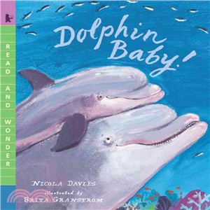 Dolphin baby! /