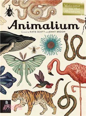 Animalium /