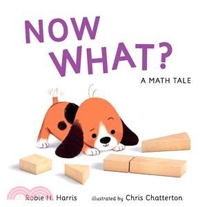 Now what? :a math tale /