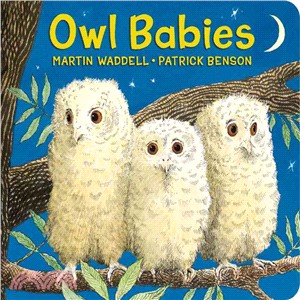 Owl babies