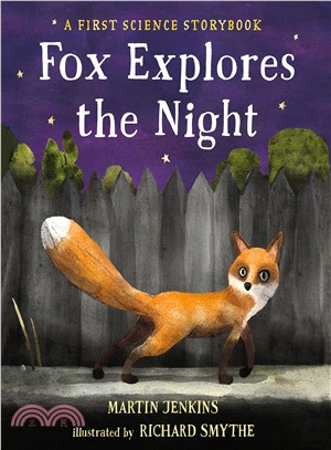 Fox explores the night /