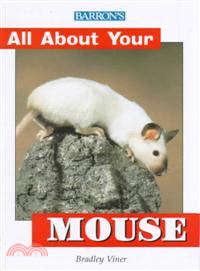 All About Your Mouse