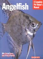 Angelfish: Everything About History, Care, Nutrition, Handling, and Behavior