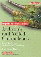 Jackson's and Veiled Chameleons