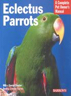 Eclectus Parrots ─ Everything About Purchase, Care, Feeding, and Housing