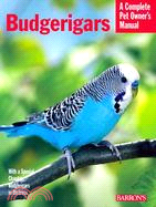 Budgerigars ─ Everything About Purchase, Care, Nutrition, Behavior, and Training