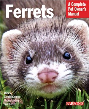 Ferrets