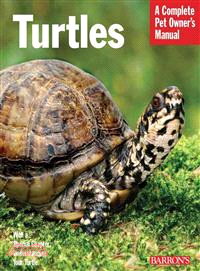 Turtles