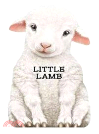 This Little Lamb