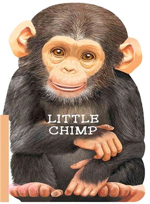 Little Chimp