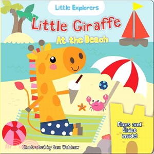 Little Giraffe at the Beach