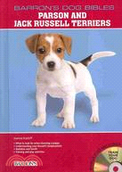 Parson and Jack Russell Terriers