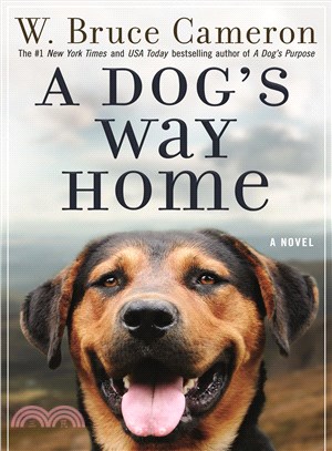 A dog's way home /