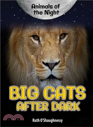 Big Cats After Dark