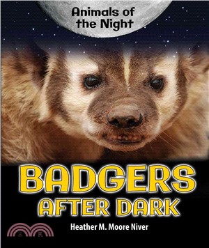 Badgers After Dark