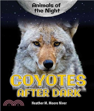 Coyotes After Dark