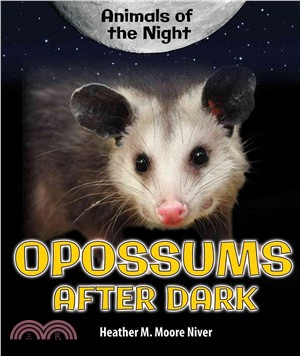 Opossums After Dark