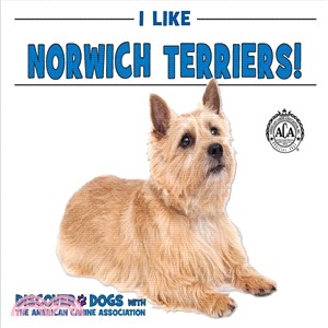 I Like Norwich Terriers!