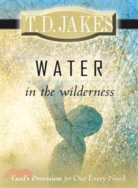 Water in the Wilderness: God's Provision for Our Every Need