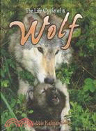 The life cycle series : The life cycle of a wolf /