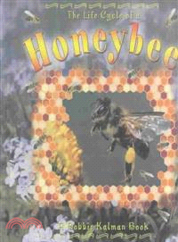 The life cycle series : The life cycle of a honeybee /