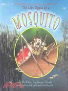 The life cycle of a mosquito