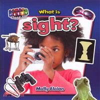 What Is Sight?