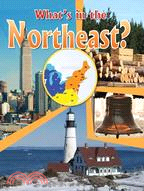 What's in the Northeast?