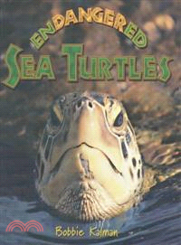 Endangered sea turtles /