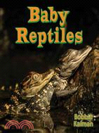 Baby Reptiles