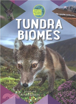 Tundra Biomes