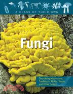 Fungi ─ Mushrooms, Toadstools, Molds, Yeasts, and Other Fungi