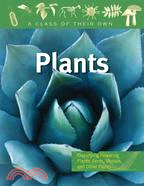 Plants ─ Flowering Plants, Ferns, Mosses, and Other Plants