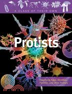 Protists ─ Algae, Amoebas, Plankton, and Other Protists