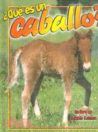 Que Es Un Caballo?/ What Is a Horse