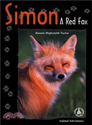 Simon ― A Red Fox