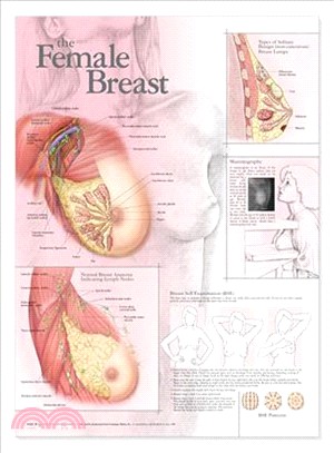 The Female Breast