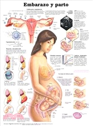 Embarazo y Parto / Pregnancy and Birth