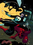 Spider-man ─ Crime and Punisher